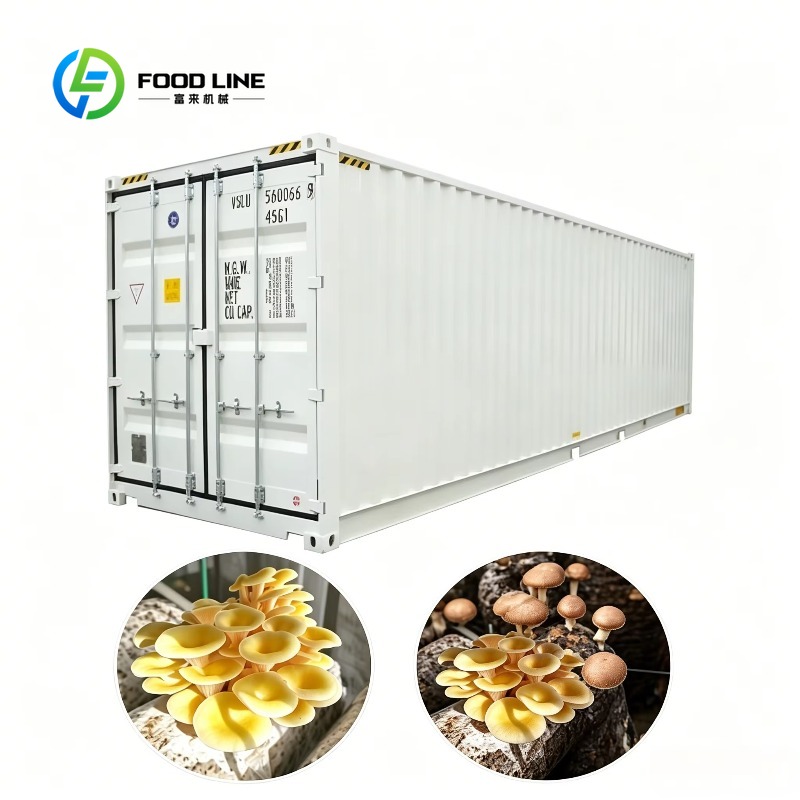Urban Farming Projects - Hydroponische Containerfarm mit automatischem Bewässerungssystem für