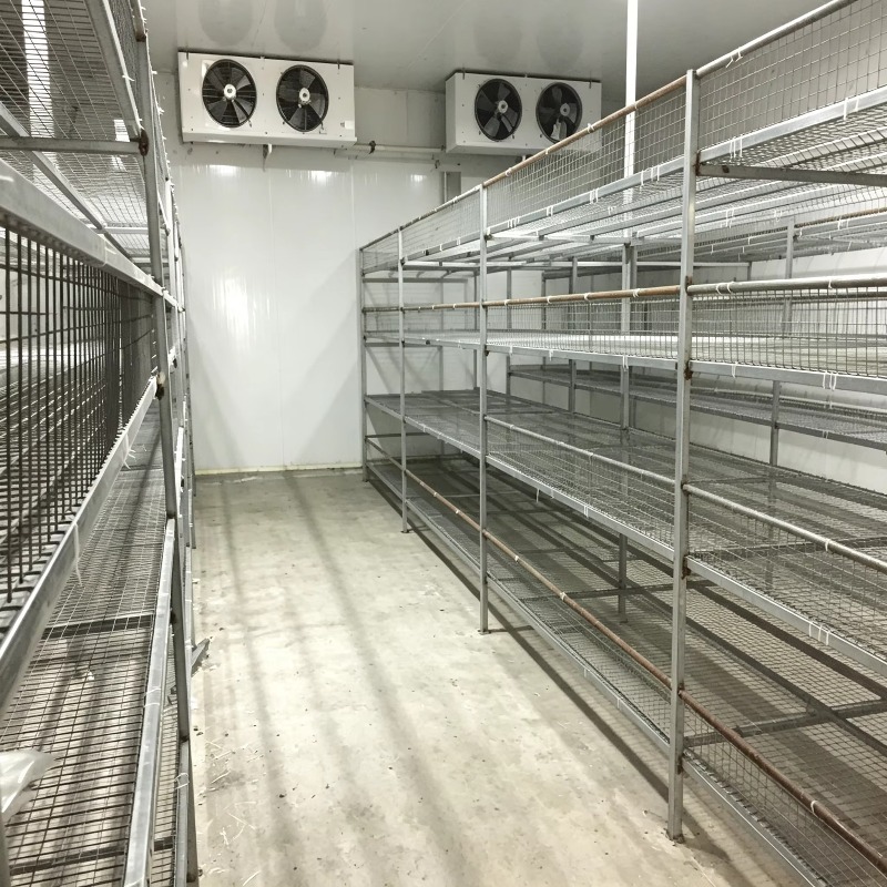 Hydroponische Containerfarm mi – Urban Farming Projects Bewertung und Preis