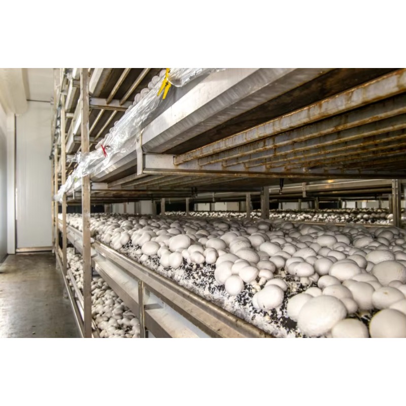 Hydroponische Containerfarm mi – Urban Farming Projects Bewertung und Preis