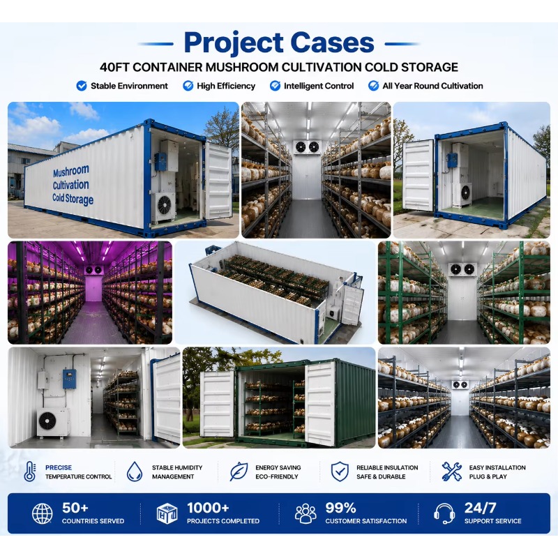 Hydroponische Containerfarm mi – Urban Farming Projects Bewertung und Preis